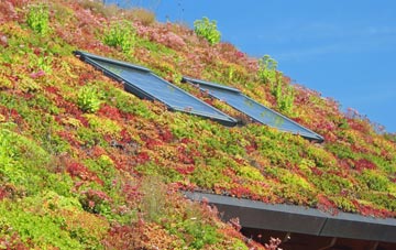 Monkton Deverill living roof systems
