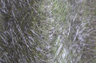 Monkton Deverill fibreglass roof work